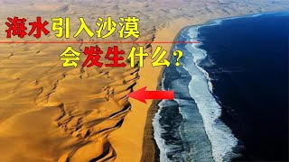 海水引入沙漠，会使沙漠变成绿洲吗？中东国家强行引入有何后果？