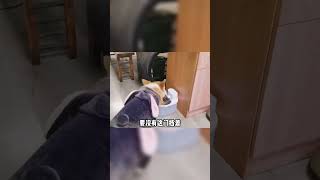 你们俩消磨了一下午的时间！#funny #funnyvideo #shorts #搞笑 #搞笑视频 #搞笑配音