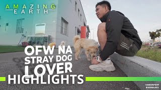 Amazing Earth: A Filipino OFW’s heartwarming bond with stray dogs in South Korea!