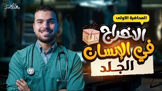 إنطلاقة منهج التيرم الثانى ل تانية ثانوى مع الاخراج في الانسان - الجلد : الغدة العرقية والشعرة 🫰🏼🤩