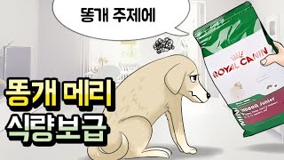 [똥개메리] 똥개메리 식량 보급 _밥을 안줘서 현기증이 난 강아지