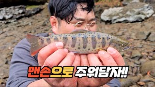 말라붙은 강에서 수천마리 물고기 떼 맨손으로 구해주기 ㅋㅋㅋㅋㅋㅋㅋㅋㅋㅋ