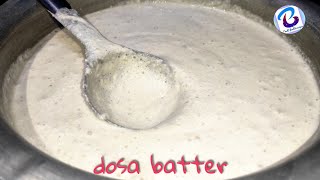 దోశ పిండిని ఎలా చేయాలో చూద్దామా! I dosa batter I దోశ పిండి తయారీ విధానం I dosa batter recipe😋