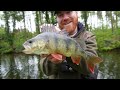 This Bridge Was STACKED With BIG PERCH! Canal Fishing Dream!