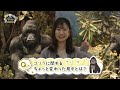 王子動物園開園73周年記念特別番組　タンタン動画も