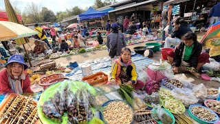 สุดยอดอาหารป่า ตลาดนัดเช้า อ.ตระการพืชผล จ.อุบลราชธานี แมงจีนูน!! ไข่มดแดง จั๊กจั่น!!