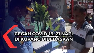 Cegah Covid-19, 21 Narapidana Di Kupang Dibebaskan