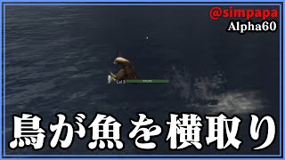 ＃22【Subsistence】Alpha60から参加　鳥もハンターも主人公には厳しいです【ゲーム実況】