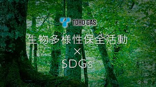 【東邦ガス】生物多様性保全活動× SDGｓ