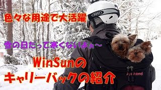 WINSUNのペットキャリーの紹介 🐾🐾何処でも使える便利もの🌟