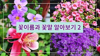 꽃이름과 꽃말 알아보기 2