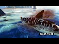 alpha vs normal how do they compare megalodon