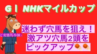 【NHKマイルカップ】このレース見逃し厳禁！穴は迷わず狙え！穴なら俺に任せろ☄️