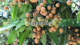 តើកម្ពុជាមានផលិតផលកសិកម្មប៉ុន្មានមុខហើយ អាចនាំចេញទៅចិន