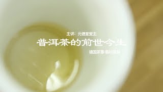 德国茶事：普洱茶的前世今生