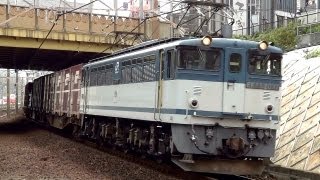 JR貨物 EF65-2037 貨物列車 (5087レ JR貨物更新色 青プレ PS17) 金山駅