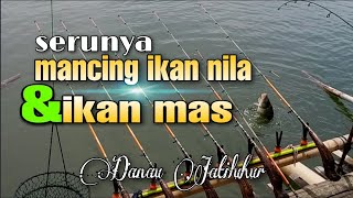 Serunya mancing ikan nila \u0026 ikan mas #Mancing Jatiluhur