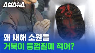 2020년 새해 맞이 소원을 왜 거북이 등껍질에 페인트로 적어?/스브스뉴스