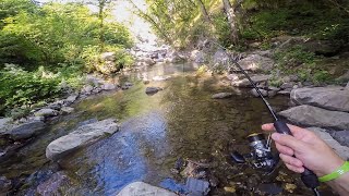 PIENO DI CATTURE TROTONA D'ALTRI TEMPI IN PICCOLO TORRENTE DI MONTAGNA PESCATA DELL'ANNO A SPINNING!