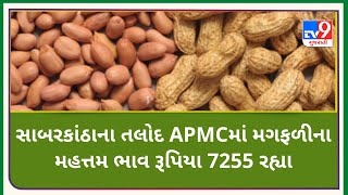 Mandi: સાબરકાંઠાના તલોદ APMCમાં મગફળીના મહત્તમ ભાવ રૂપિયા 7255 રહ્યા |Tv9News