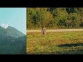 asiris - mi amor (Official Audio)