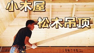 小木屋用松木作天花板吊顶，安装艺术现场实拍，哈尼族小木匠建造木房全过程第七集，怎样用现代工艺盖木房子办公室？