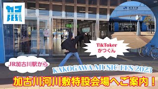 加古川駅からカコフェス2023加古川河川敷特設会場までのルート紹介！