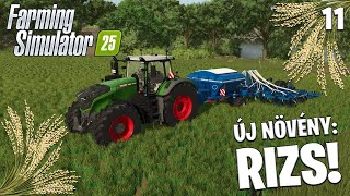 FARMING SIMULATOR 25 LIVE #11 - Új növény: RIZS! Föld készítés és vetés!