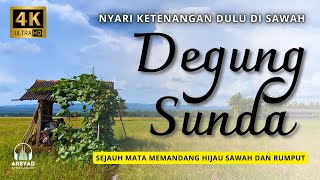 NYARI KETENANGAN DULU DI SAWAH - DEGUNG SUNDA