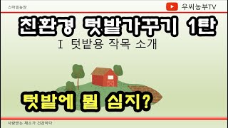 텃밭 작물 추천  친환경 텃밭 가꾸기 1편