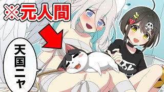 美少女の飼い猫になるとどうなるのか？【アニメ】【漫画動画】