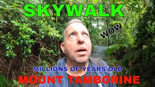 GOLD COAST AUSTRALIA 🇦🇺 MOUNT TAMBORINE SKYWALK WITH PAULSOUTDOOR