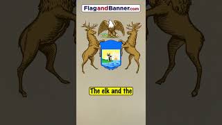 The Michigan Flag Explained | Flag Facts #michigan #history #flag #usa #vexillology