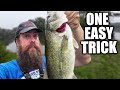 One EASY Trick to Catch More Bass From The Bank!!!