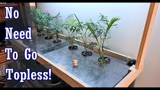 How to Grow Houseplants in an Aquarium Without Removing the Lids.