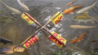 Smart Girl Make Fish Trap Using BIG Coca Cola Plastic Bottle To Catch A Lot of Fish