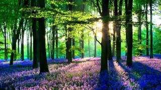 Relaxation Music 2 Hours of the Best Meditating Music   Sleep   Meditation   Spa by RELAX CHANNEL 1