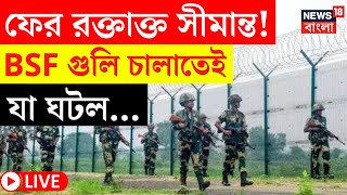 LIVE | India Bangladesh Border | ফের রক্তাক্ত সীমান্ত! BSF গুলি চালাতেই যা ঘটল... | Bangla News