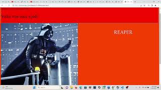 week 08 coding assignment video