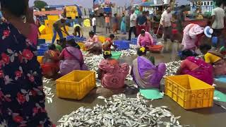 Malpe Fish Market | #malpe #udupi #manglore