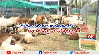 Ideal Farmer Ali Khan Success Story of Intensive Goat Farming | Rythu Ratham | AP24x7