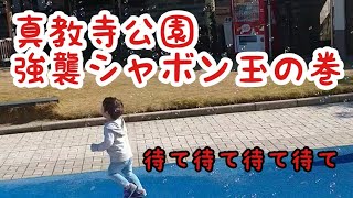 【公園】 シャボン玉(強襲編)