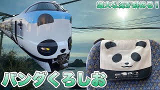 パンダ列車で紀伊半島へ旅気分！パンダくろしおに乗ってきた！ - Japan Railway Limited Express Panda Kuroshio -