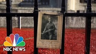 Armistice Day London: Poppies Honor WWI Soldiers | NBC News