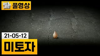 [미토자] 씨앗을 장난감처럼 가지고노는 게임(?) (21-05-12) | 김도 풀영상