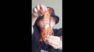 How to eat lobster.