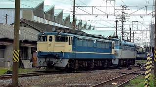 JR貨物　2010年吹田機関区での懐かしき釜たち【EF65 1123号機+EF66 107号機】（H22年撮影）