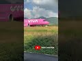 VivaAir Boeing B737 Takeoff #shorts #DekaAviation