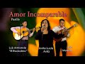 Amor Incomparable - Pasillo | Anita Lucia Avila