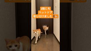 2階にもペットドア取り付けました🚪🐈実はコレで3個目！暖房問題も解決して助かってます🙌 #ムーンスター #猫 #cat #ねこ #ペットドア #キャットドア #猫動画 #猫のいる暮らし